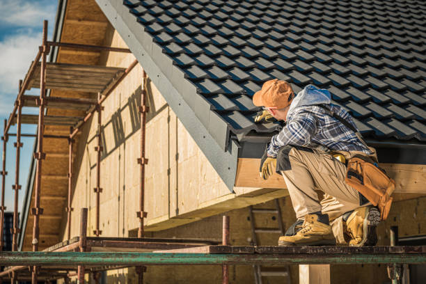 Best Gutter Installation and Repair  in Carrier Mls, IL
