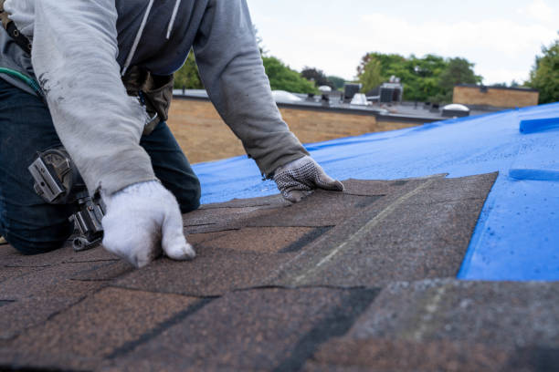 Best Roof Leak Repair  in Carrier Mls, IL