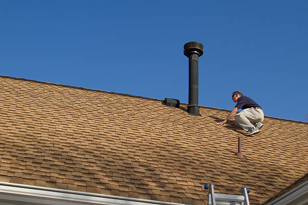 Best Roof Coating and Sealing  in Carrier Mls, IL